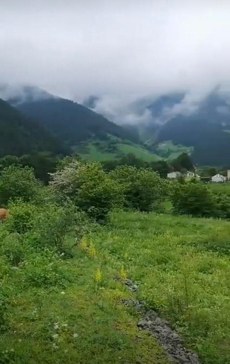 نوال الحربي