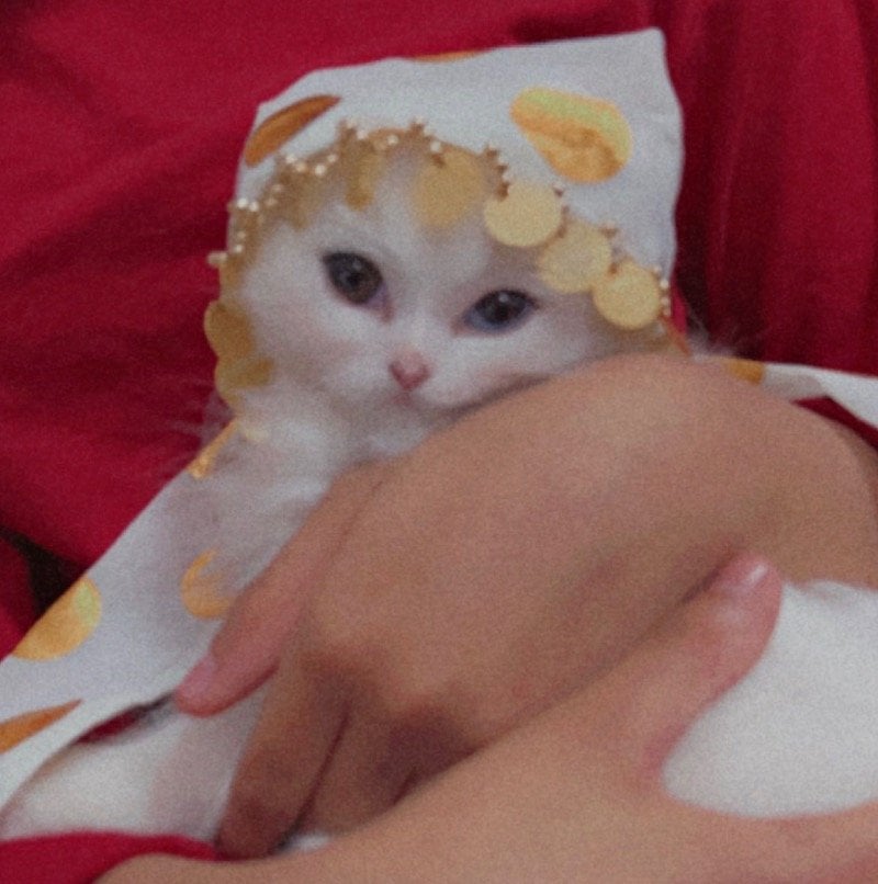 امنه الشريف