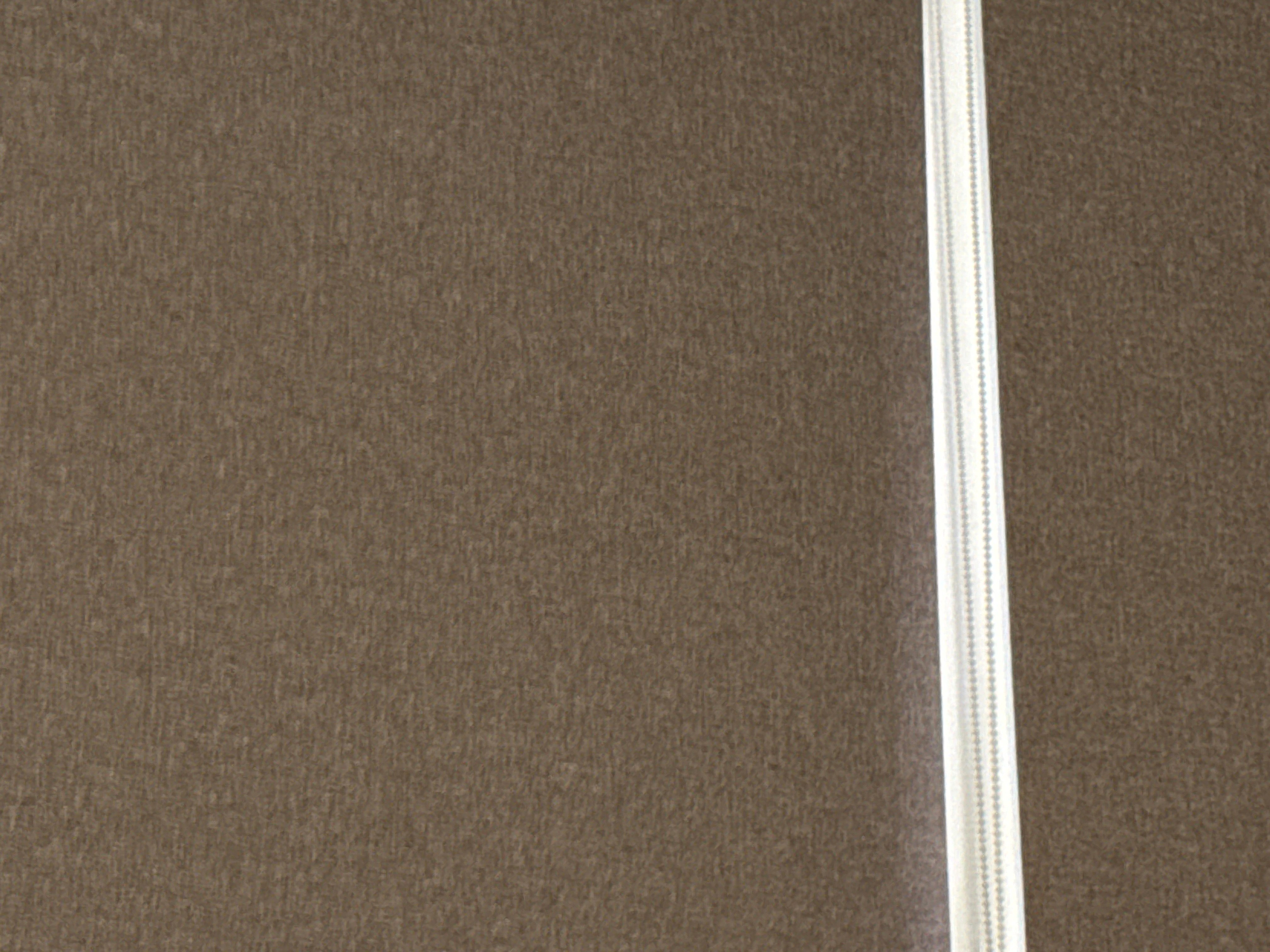 أم فيصل الداوود