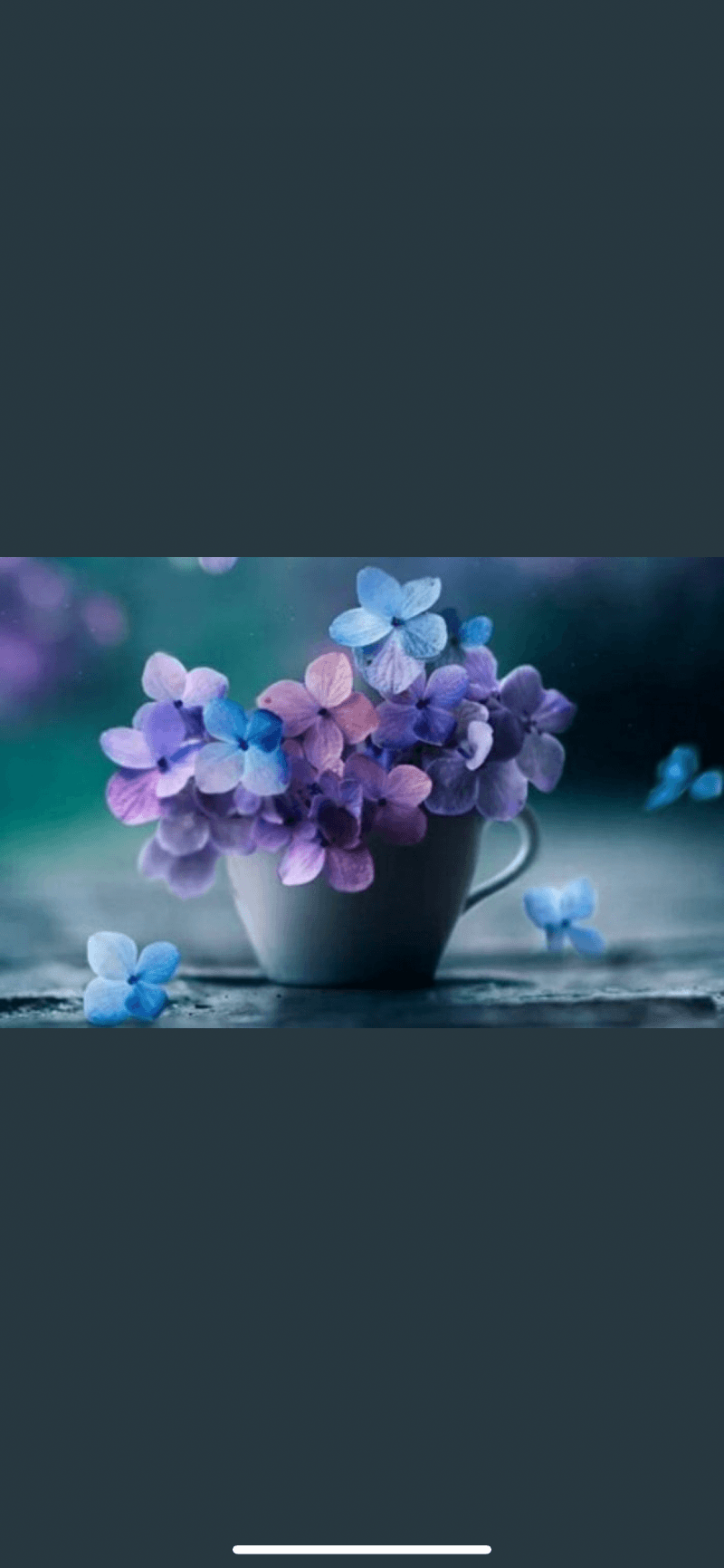 نوره الشاعر