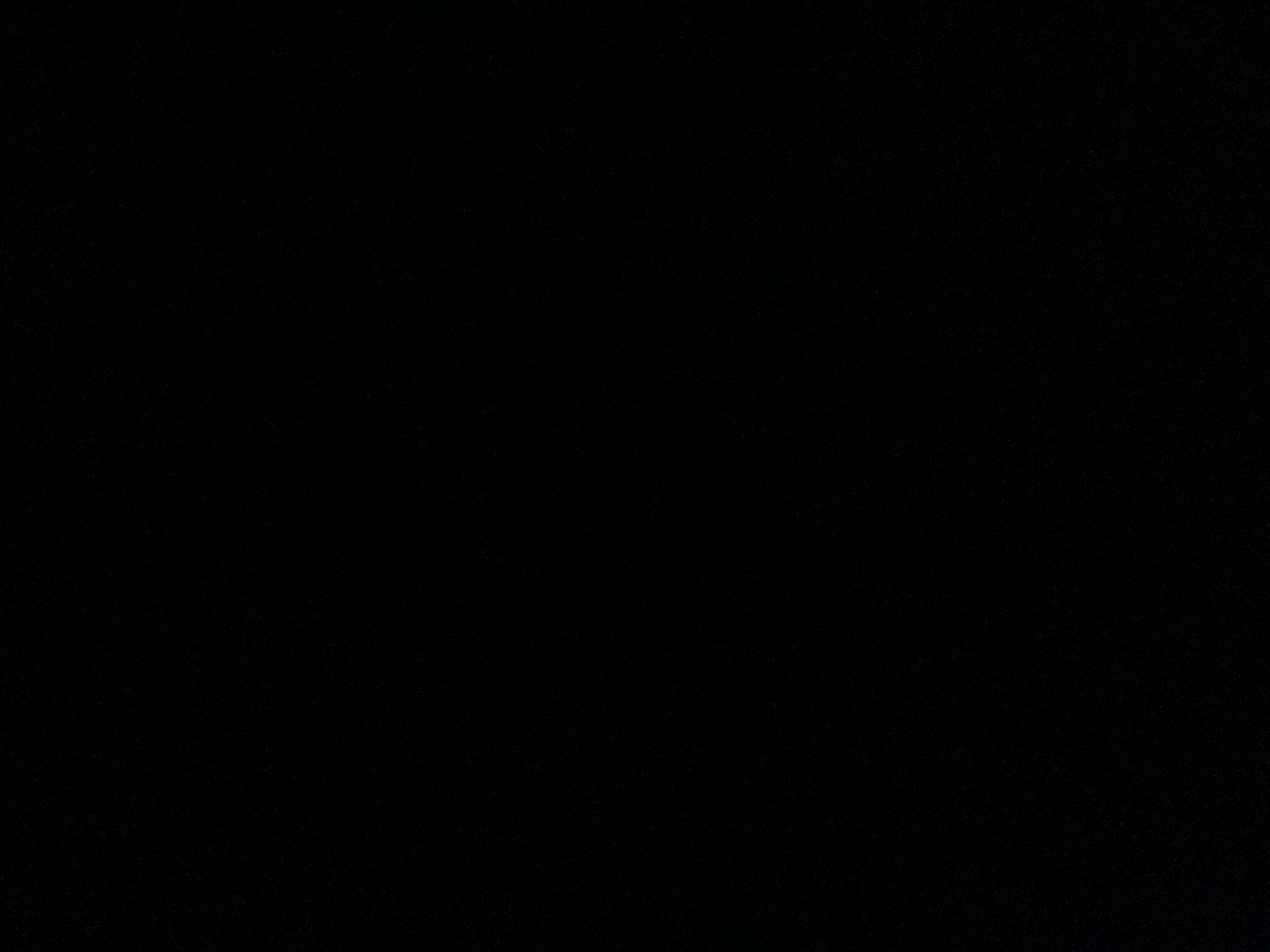 هادي   