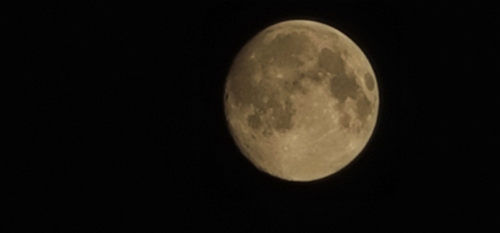 أبو محمد الجهني