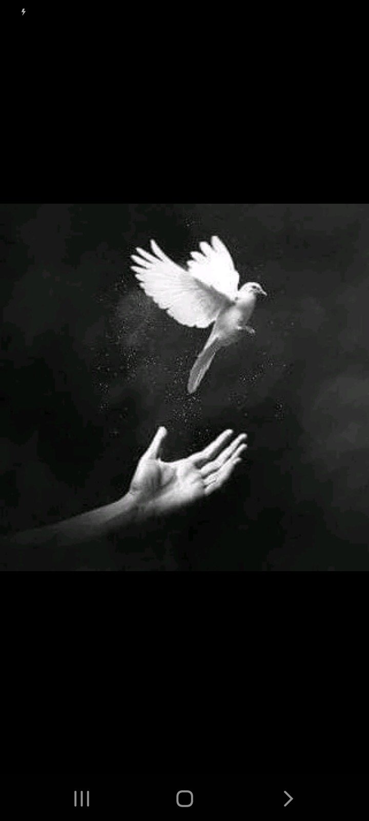 عائشه المشيخي