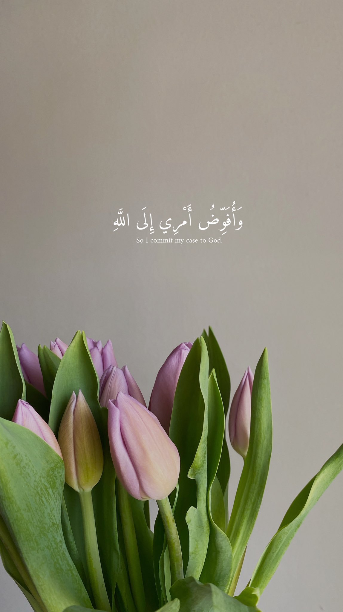 مريم الشامي