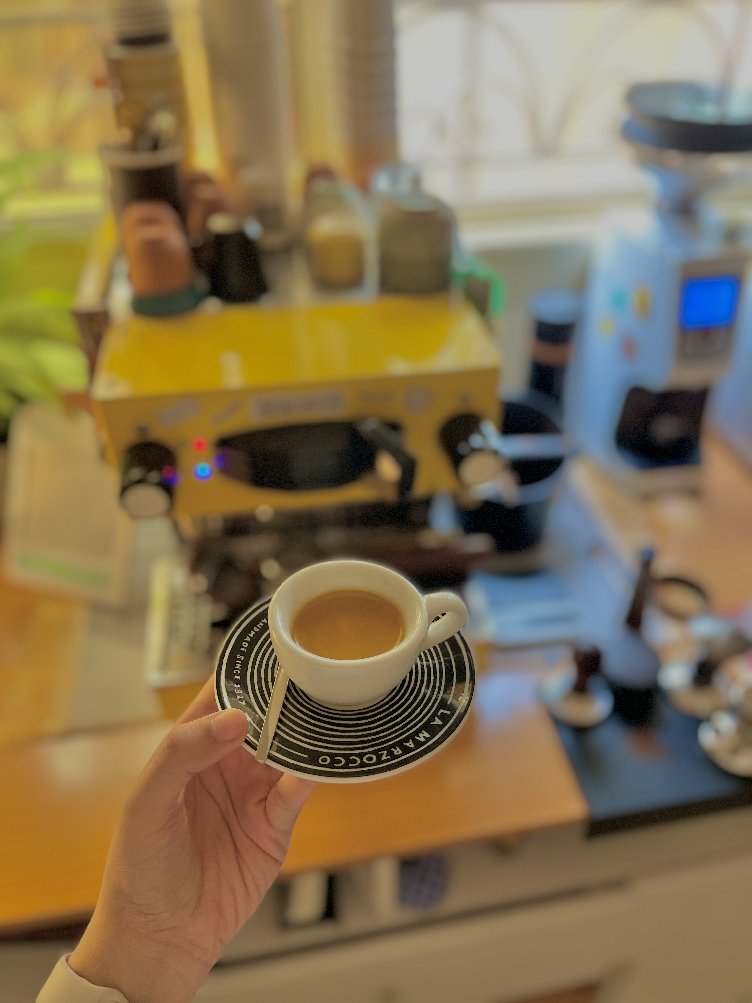 اشواق القبيل