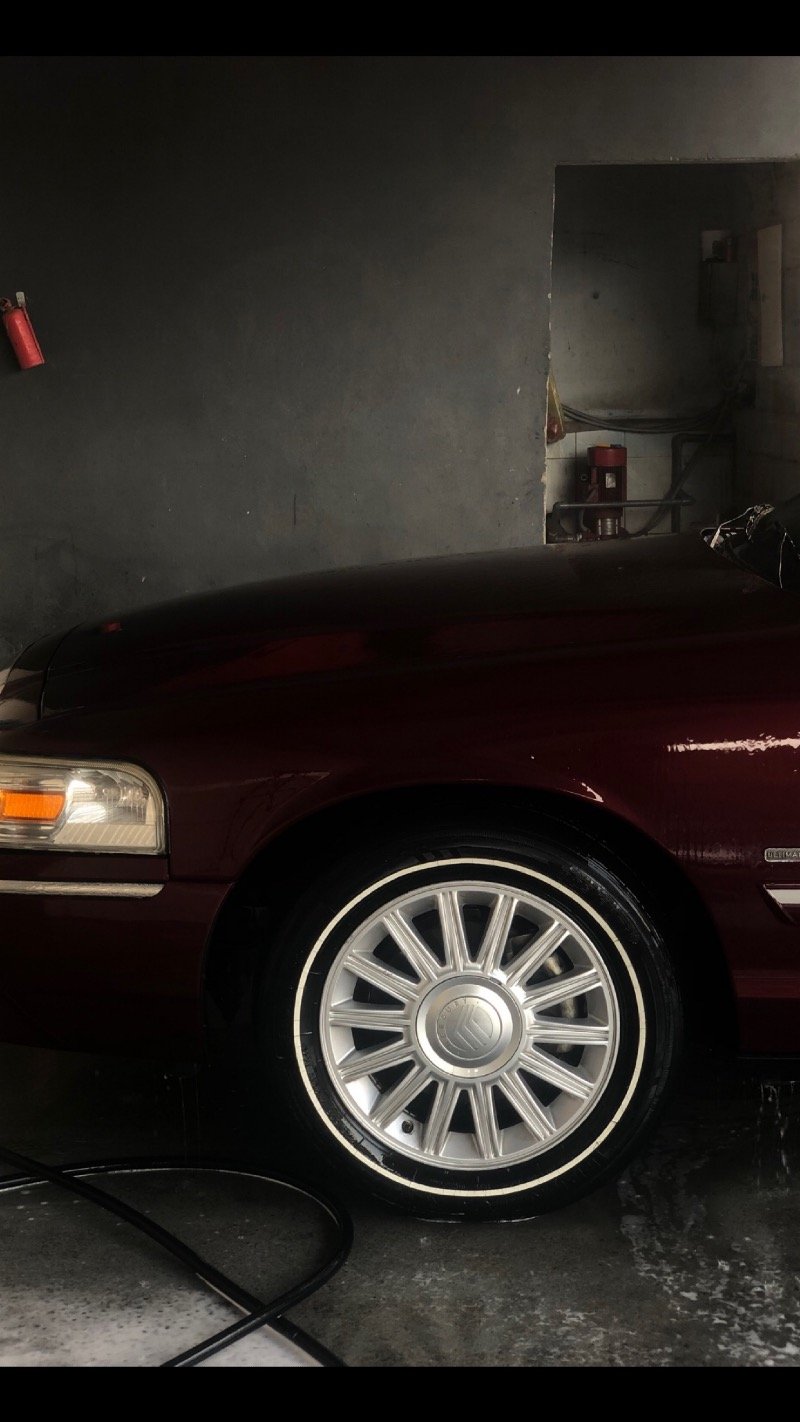 رامي الحربي