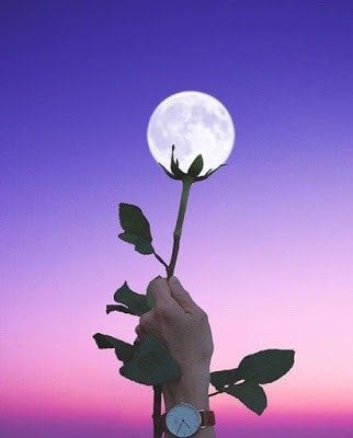 فهد الأسمري