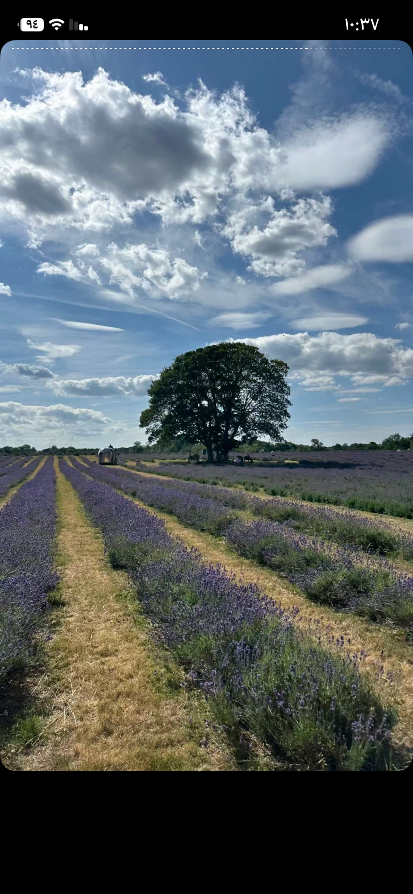 آمنة باجنيد