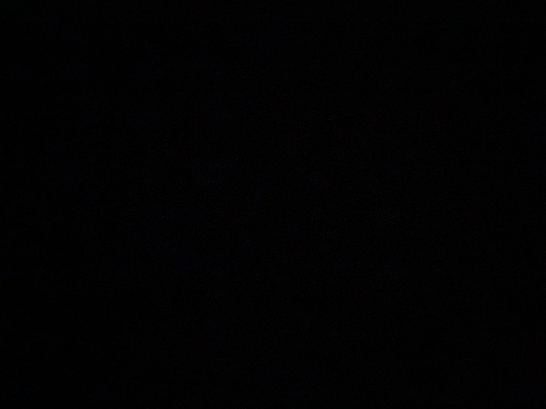 رشيد العدواني