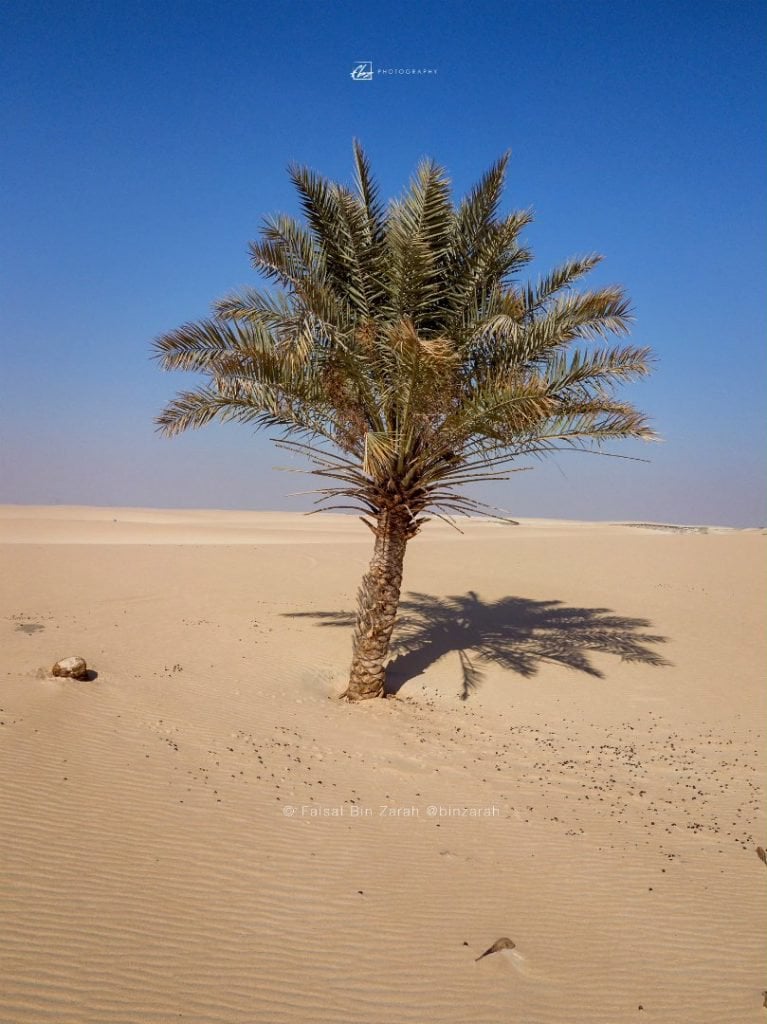 عبدالرحمن جابر