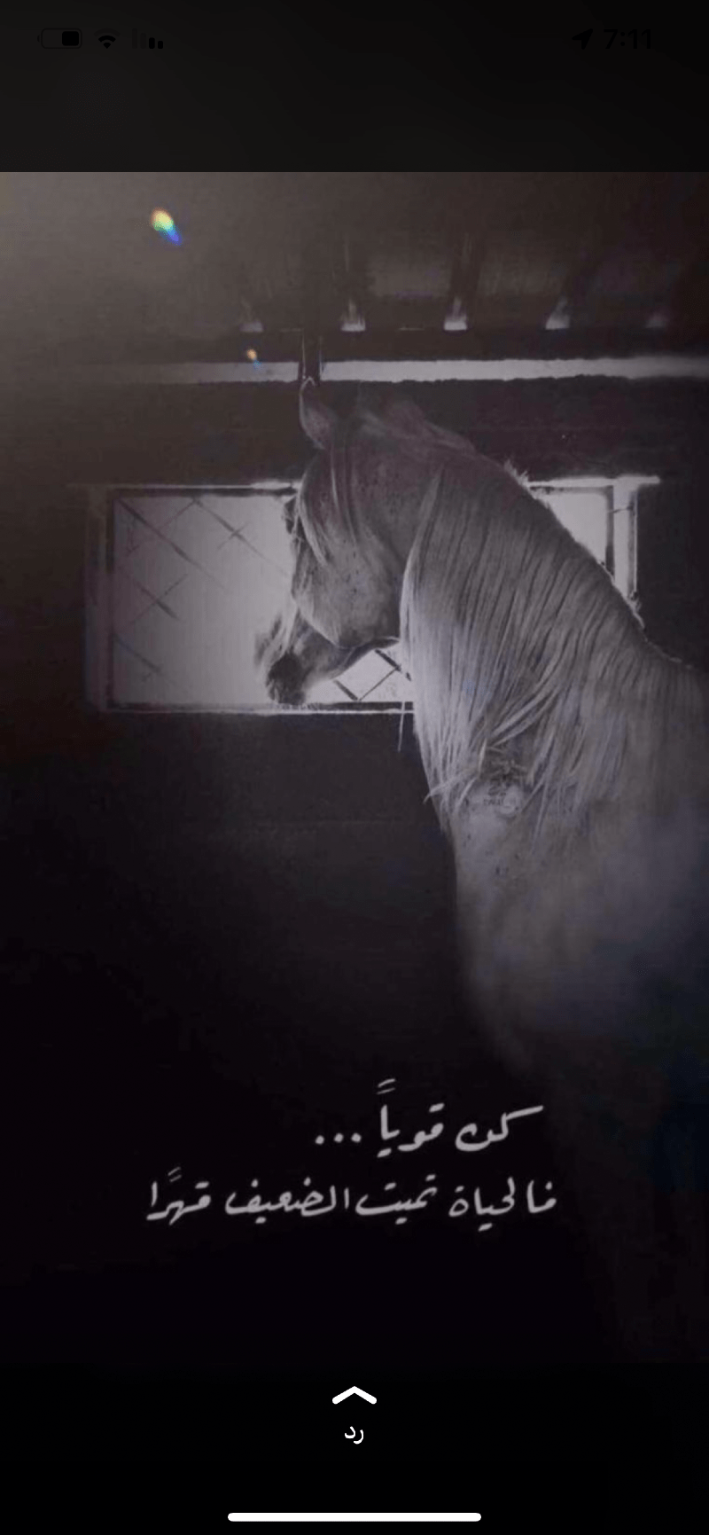 اسامه بندر خضر العطوي