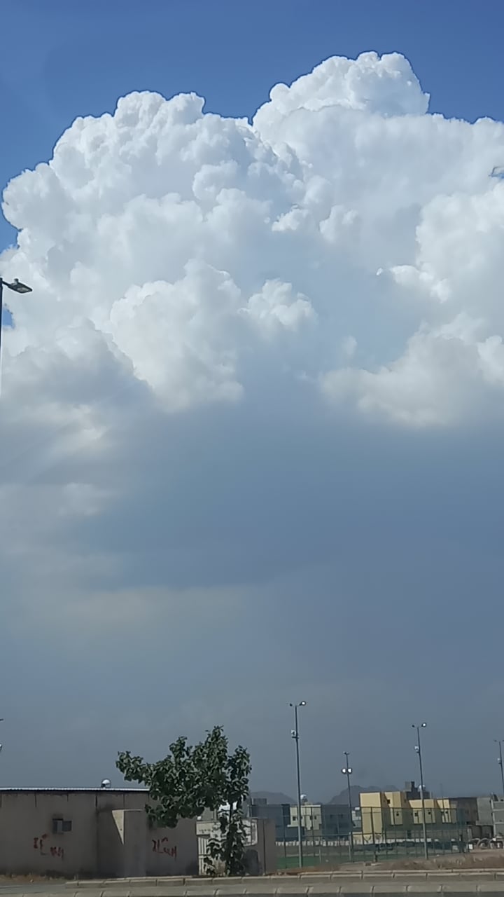 عادل المطرفي