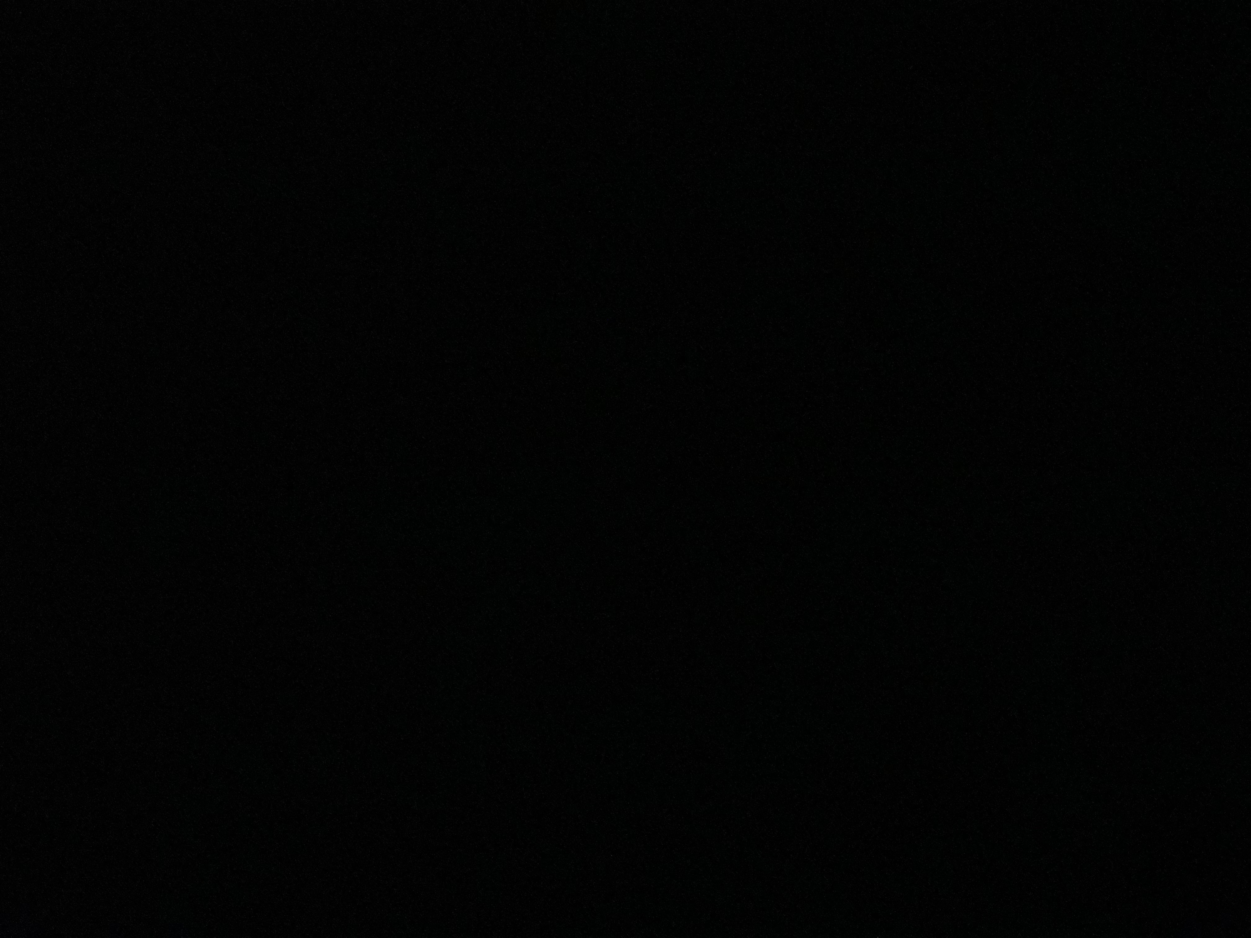 عبدالرحمن القحطاني