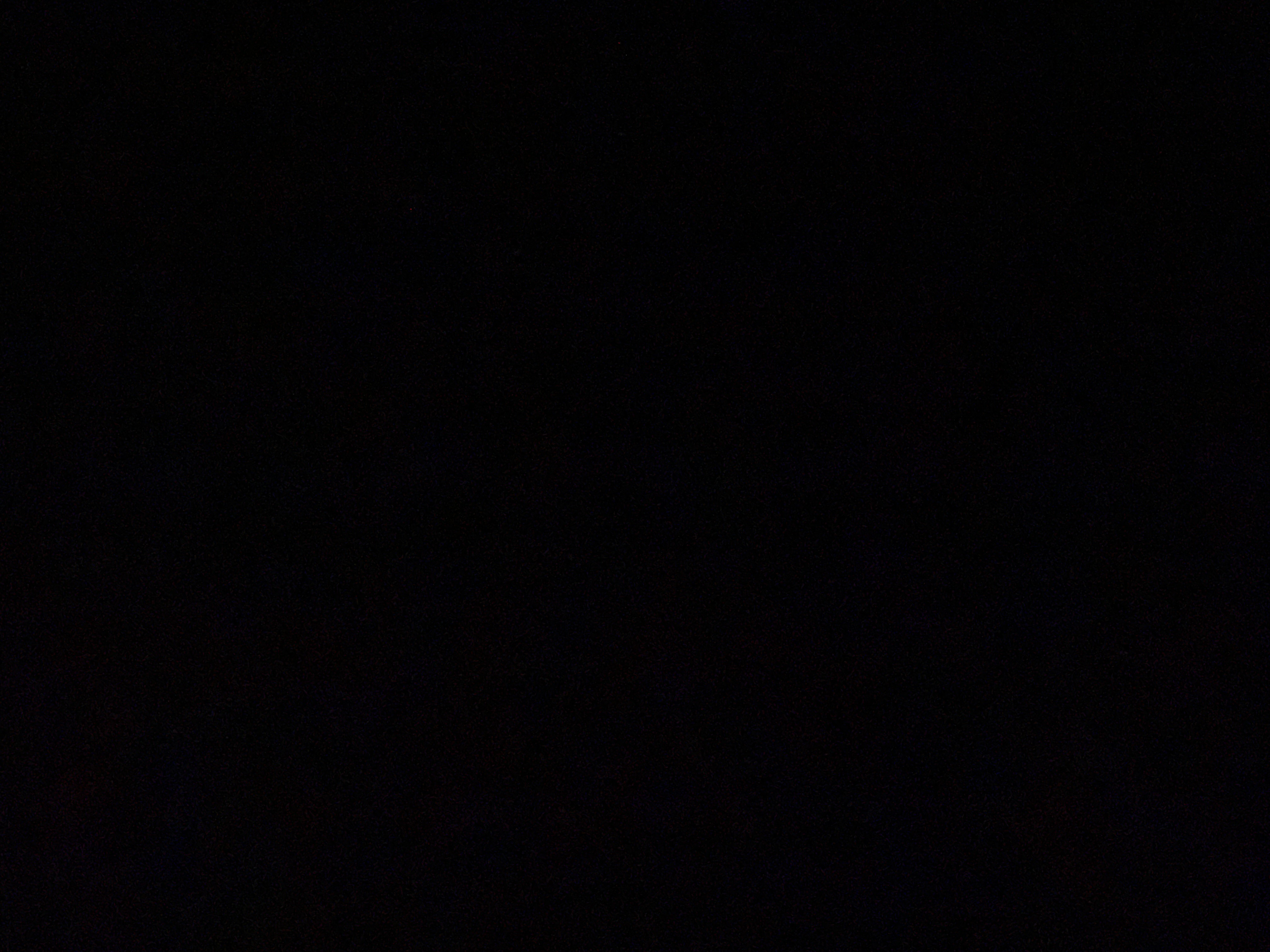 ريتال القحطاني