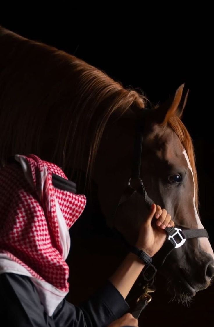 فيصل المطيري