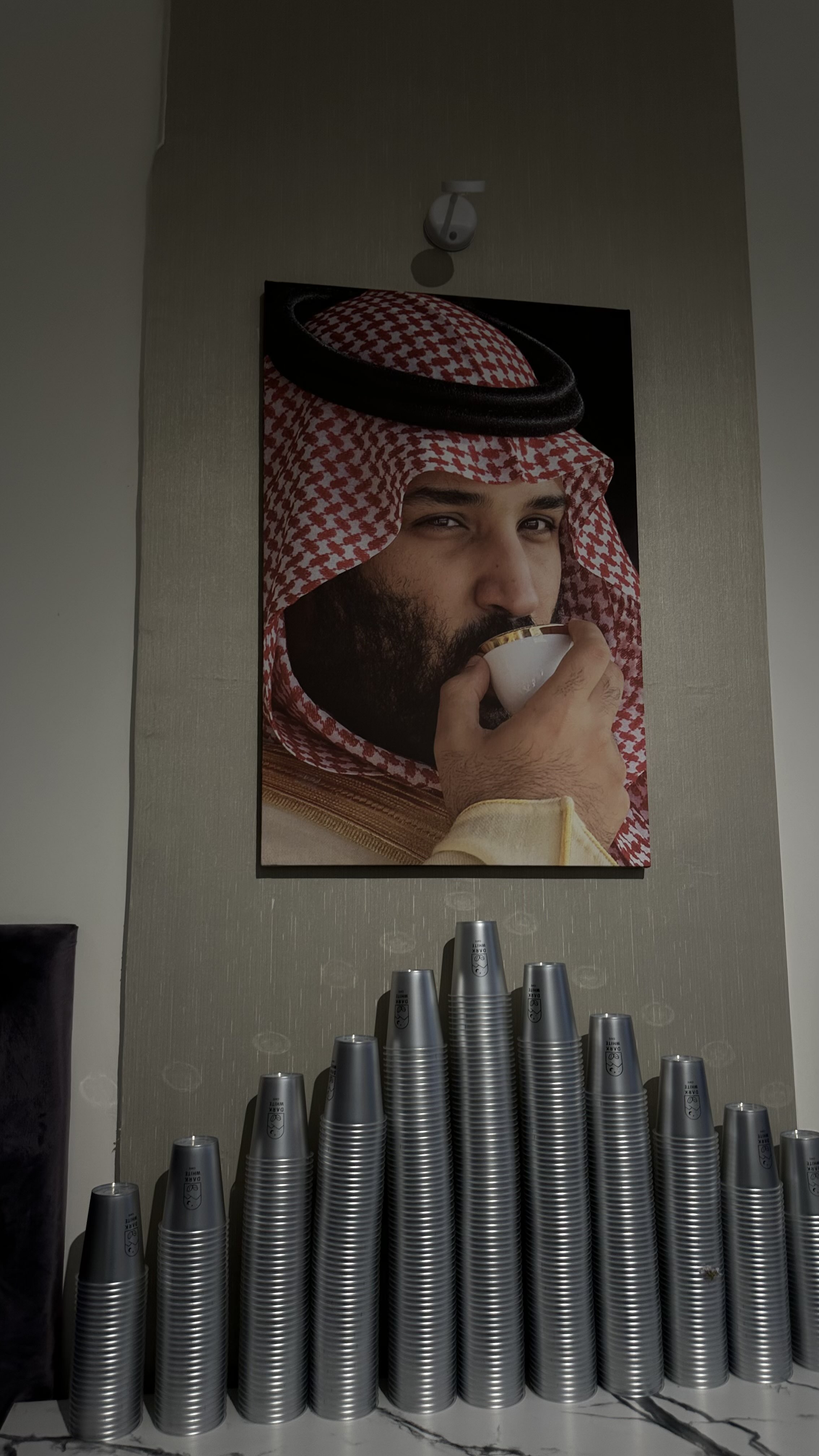 شادن القرني