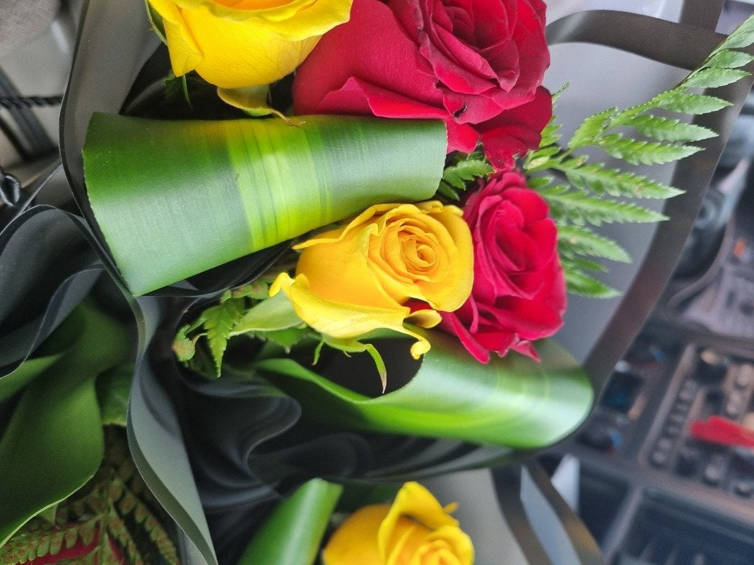 حليمه عسيري