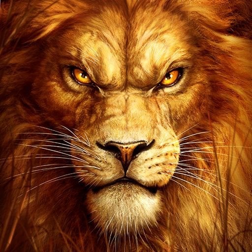 أحمد الزهراني