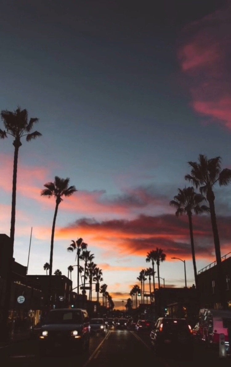 صالح الحارثي