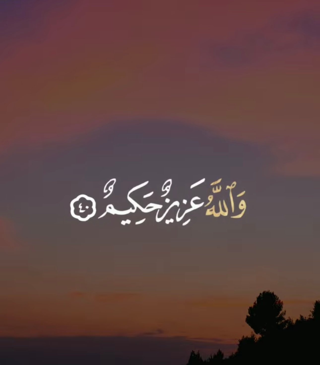 فيصل السلوم