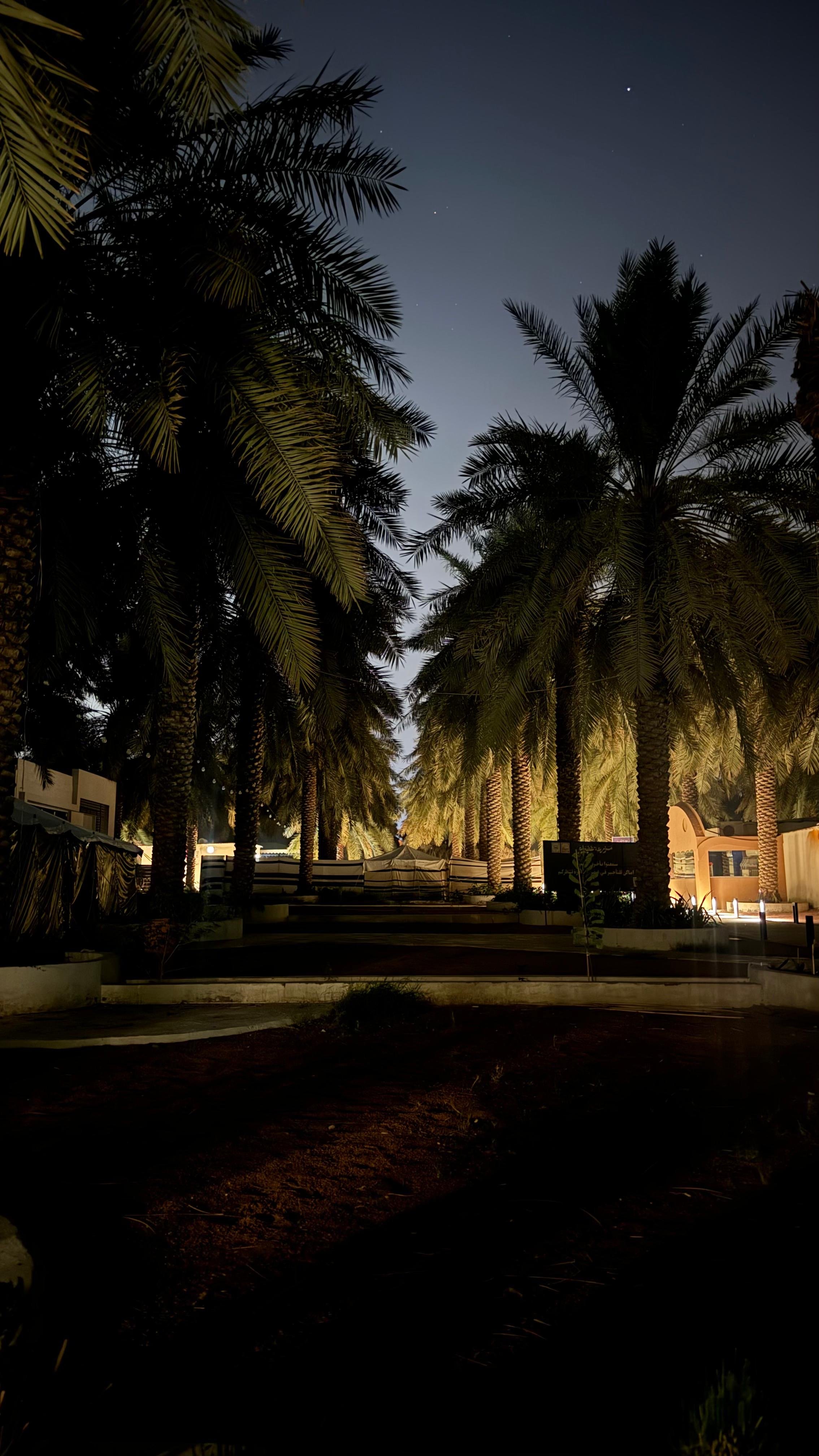 عبدالملك يوسف