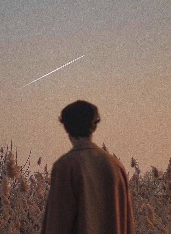 نايف القرشي