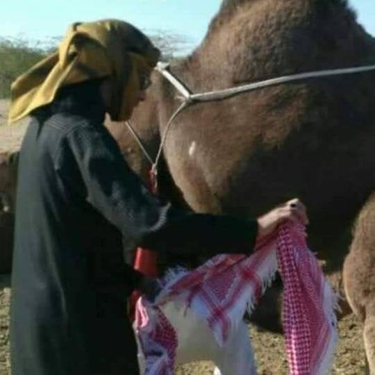 هزاع الهاجري