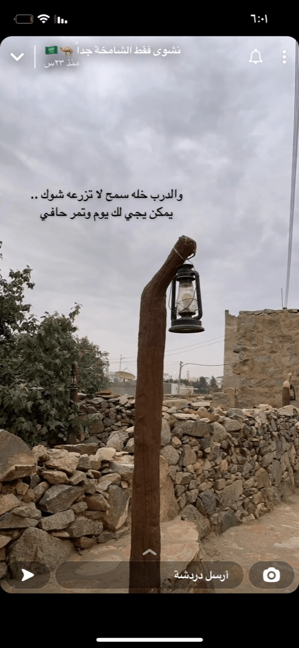 شهد القحطاني