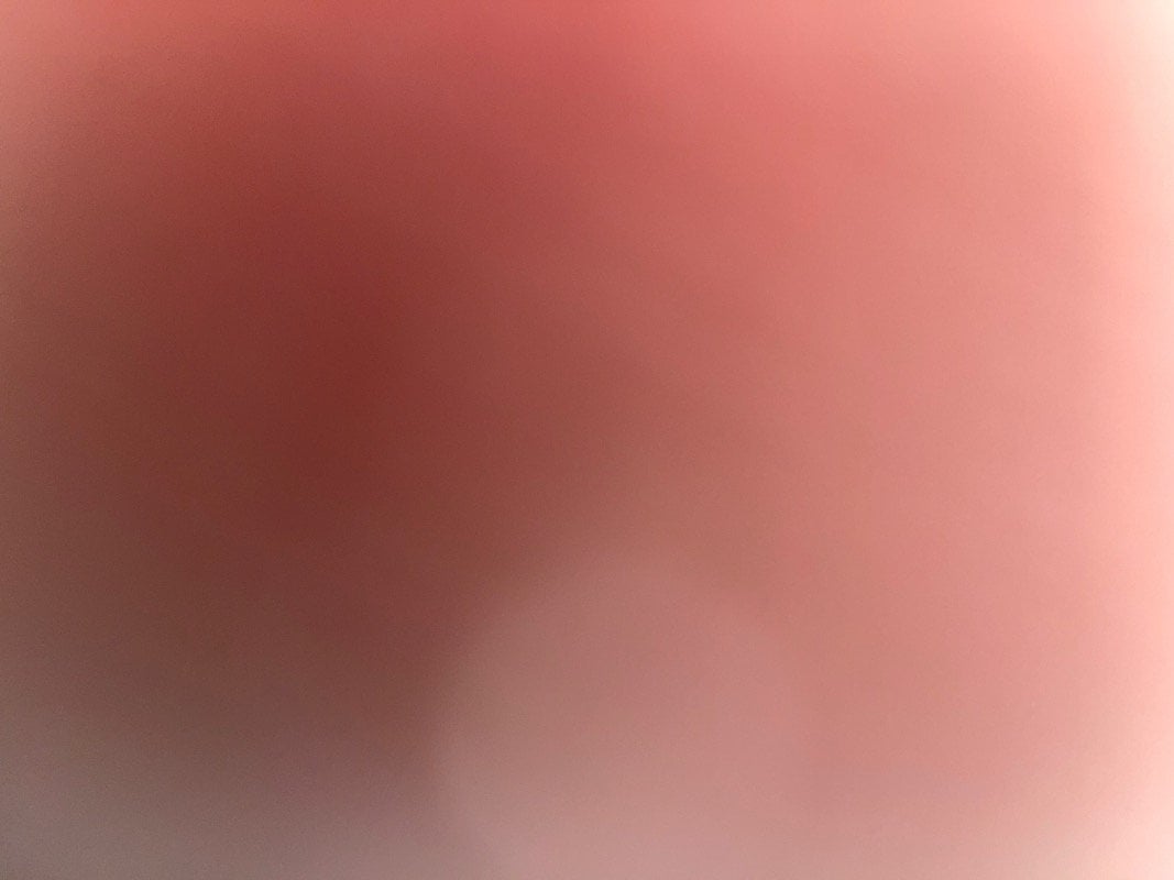 سميه المغربي