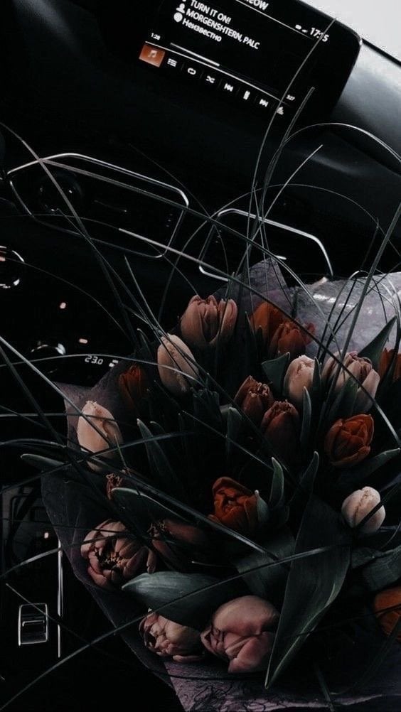 جنى الرحيلي