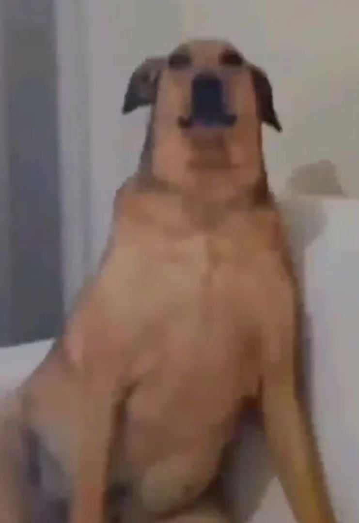 محمد عسيري