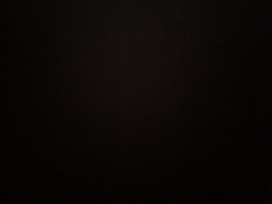 توفيق صالحي