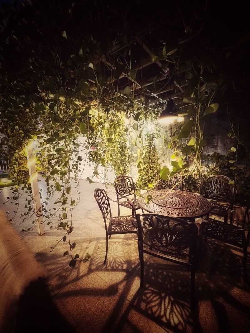 سلمى ال مطارد