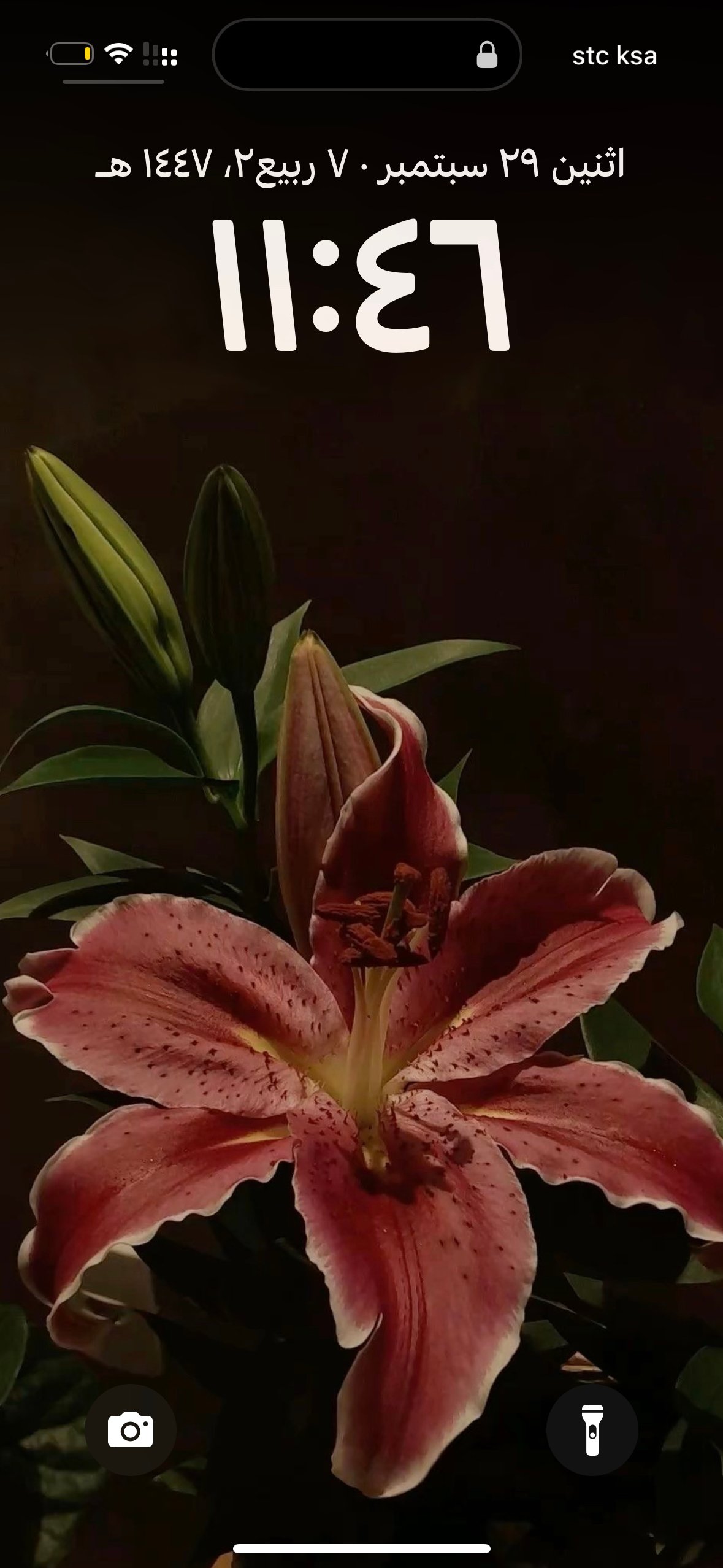 الجوهرة احمد العبثاني