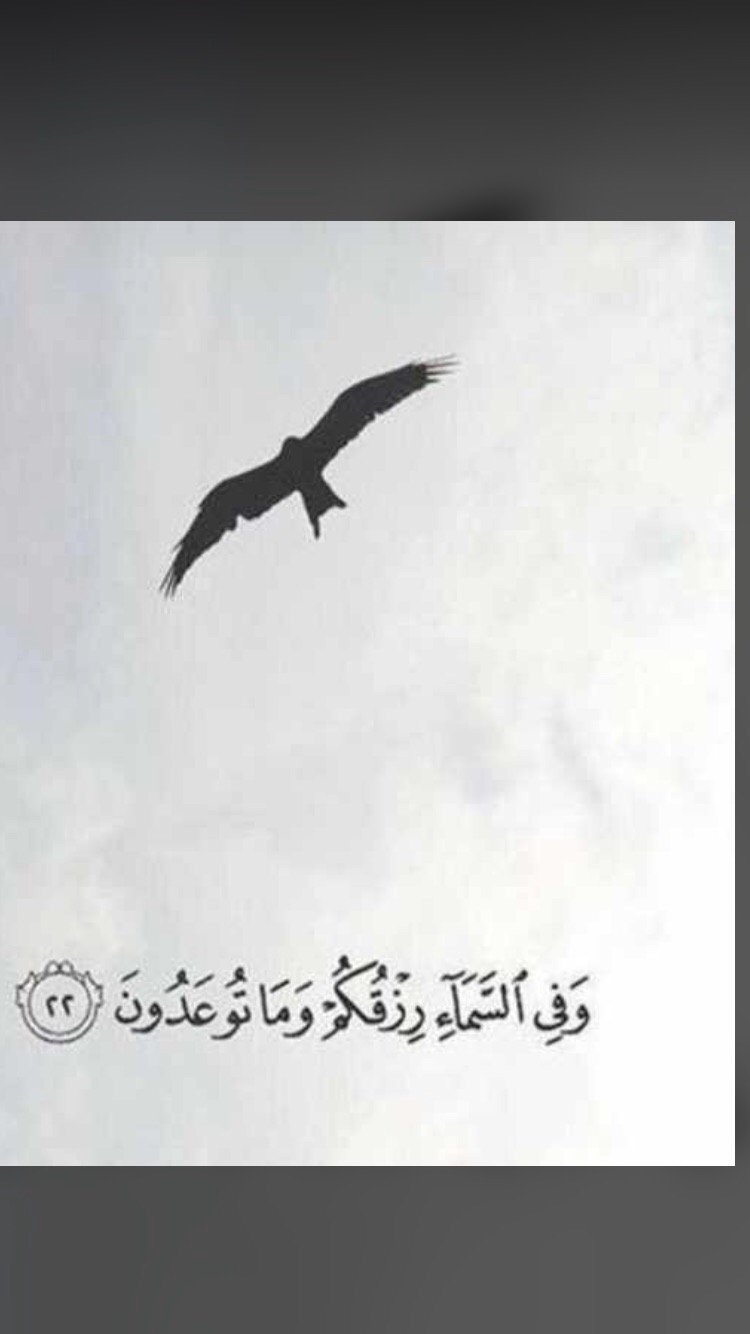 عابد المالكي