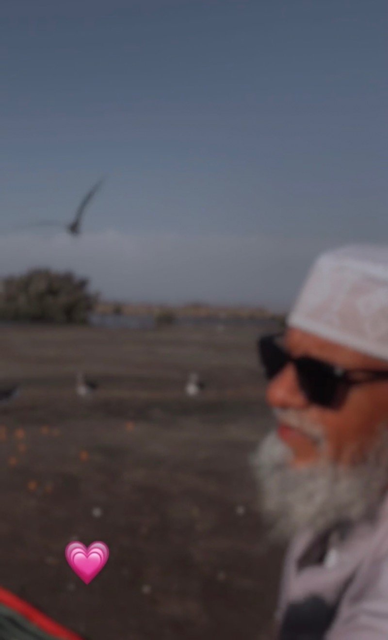 احلام احمد