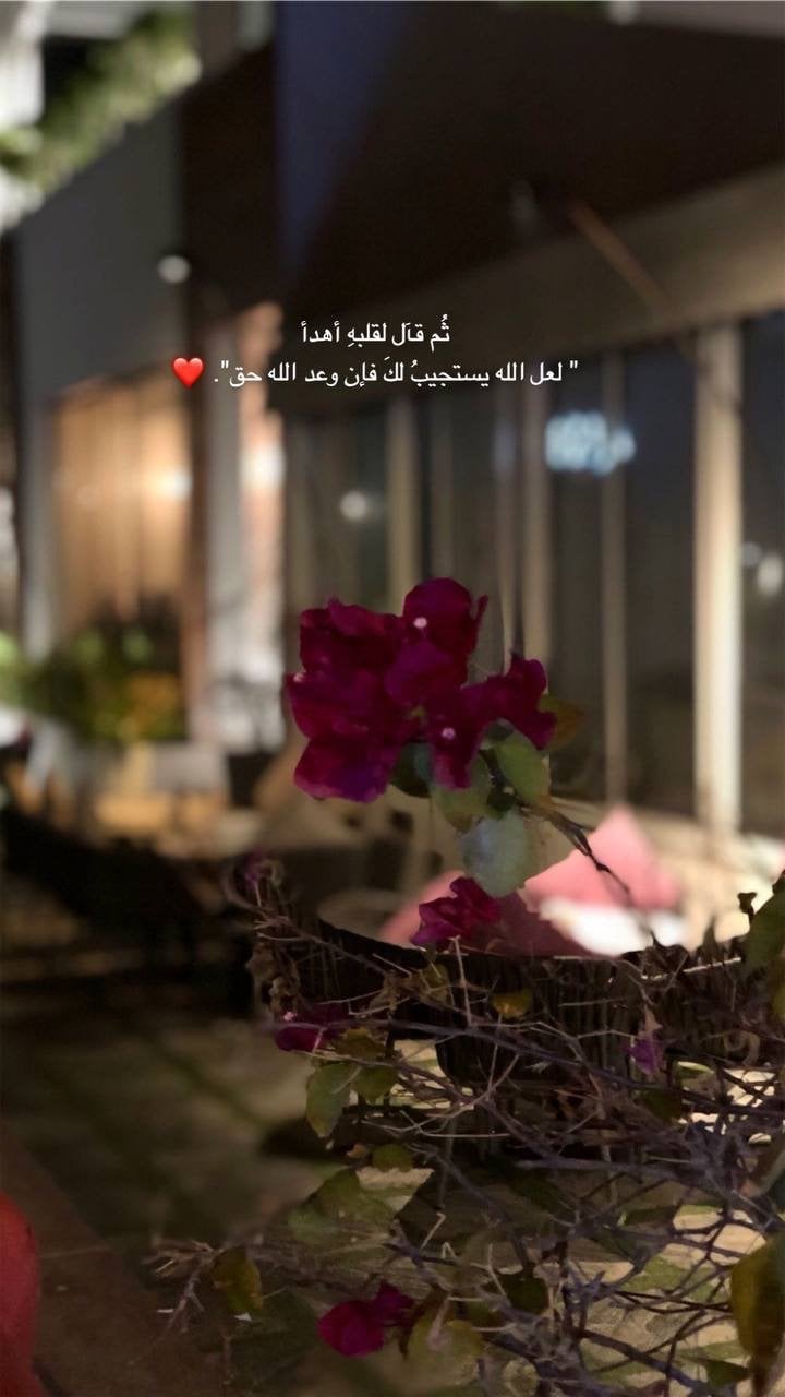 zizi Alharbi