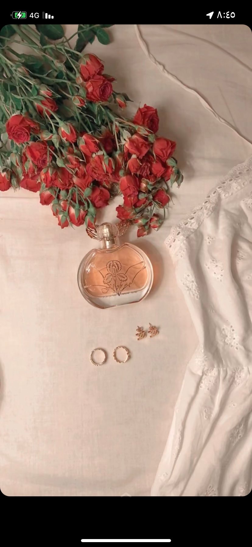 معديه المرحبي