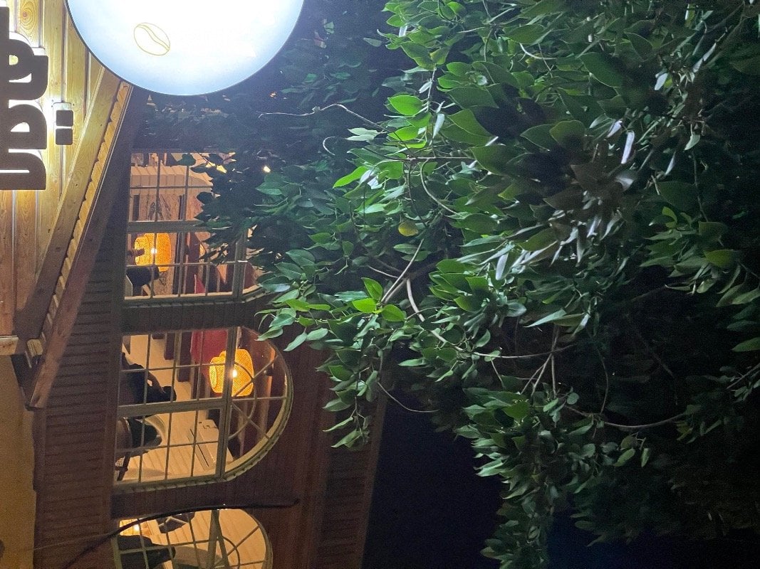 هنادي المطيري