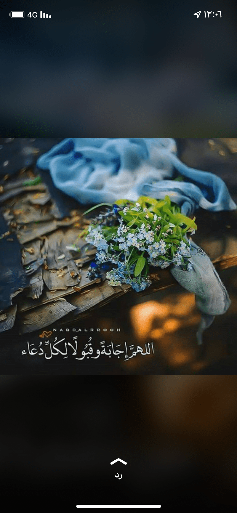 منال الحربي