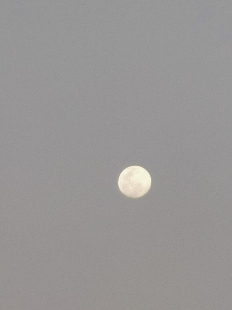 بدر الشهري