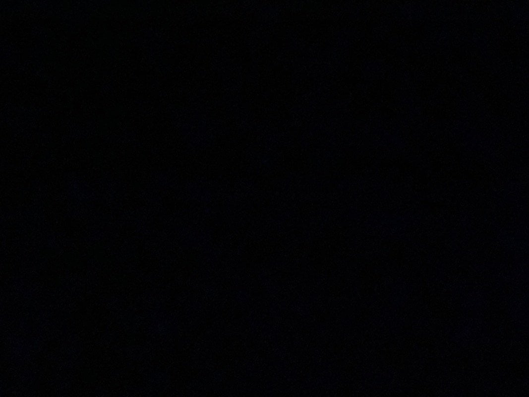 صالح العيوني