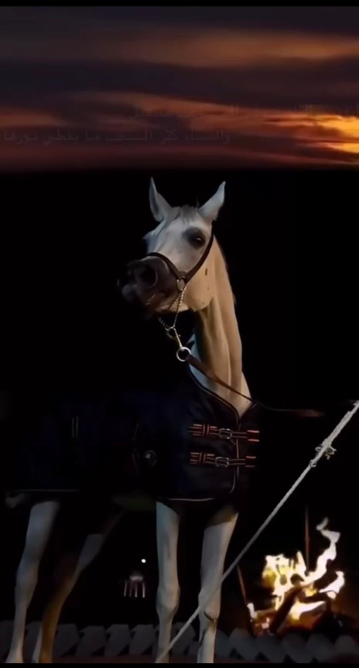 بندر الشمراني