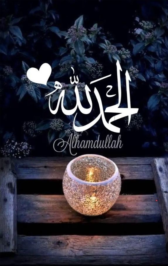 علي احمد هلال