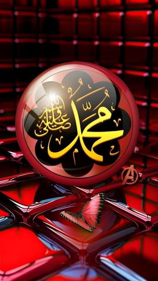 محمد أبو سبيب