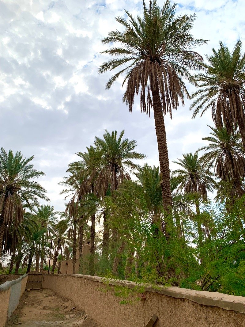 ابرار ابراهيم