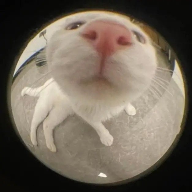 مشتبى صويمل