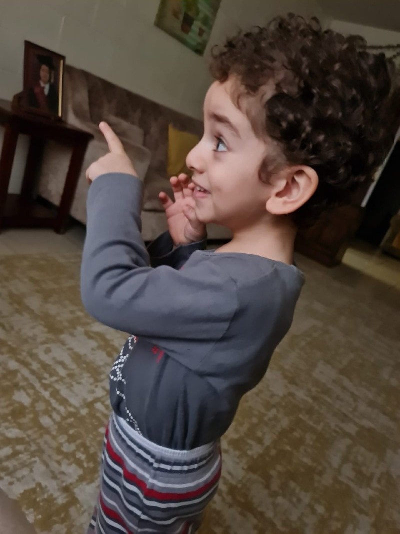 الأسد الفزاع