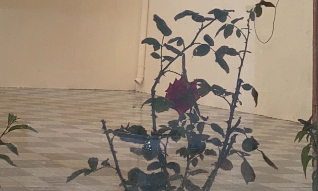 فايزه الشهري