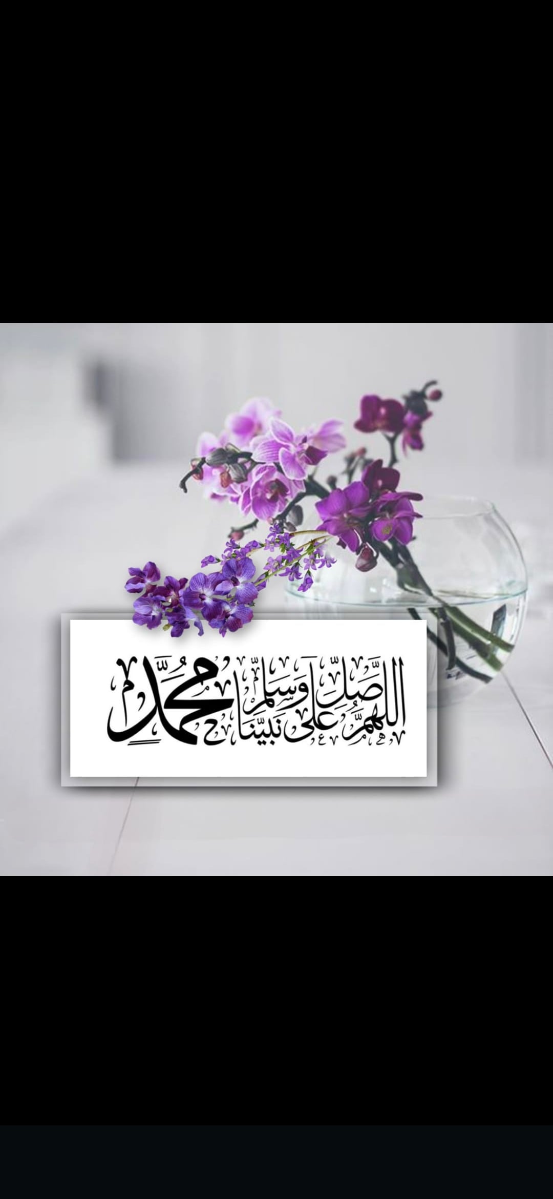 نوره القثامي